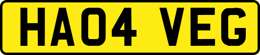 HA04VEG