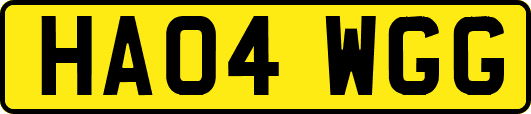HA04WGG