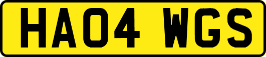 HA04WGS