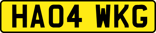 HA04WKG