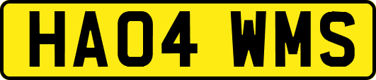 HA04WMS