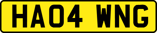 HA04WNG