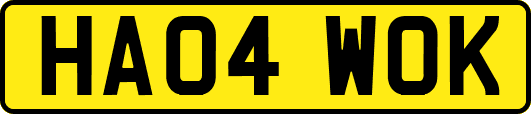 HA04WOK