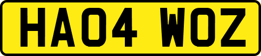 HA04WOZ