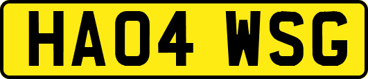 HA04WSG