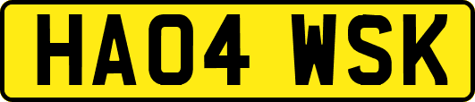 HA04WSK