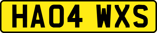 HA04WXS