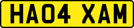 HA04XAM