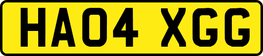 HA04XGG