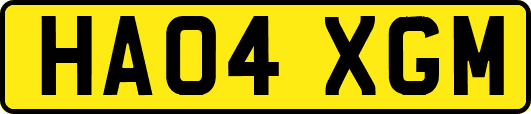 HA04XGM