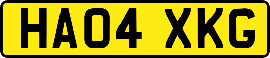 HA04XKG