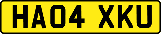 HA04XKU