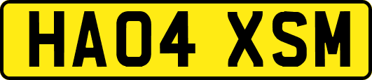 HA04XSM