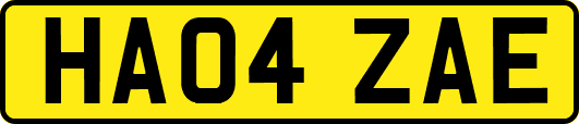 HA04ZAE