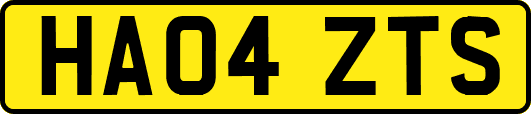 HA04ZTS