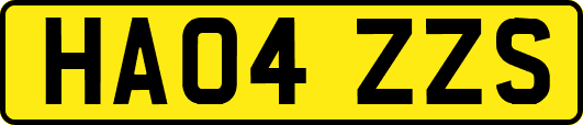 HA04ZZS