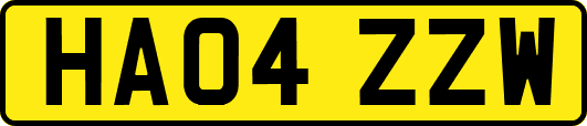 HA04ZZW
