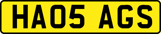 HA05AGS