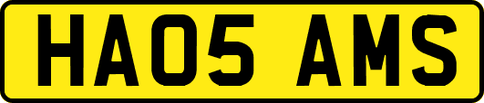 HA05AMS