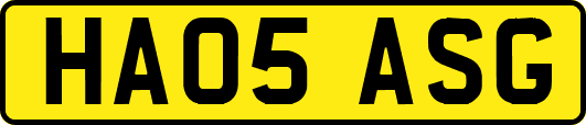 HA05ASG