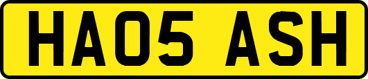 HA05ASH