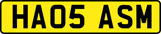 HA05ASM