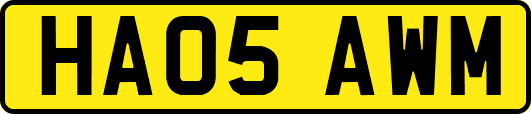 HA05AWM