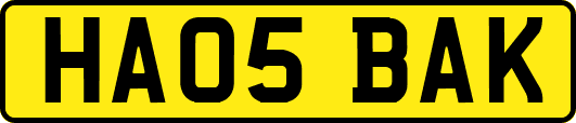 HA05BAK