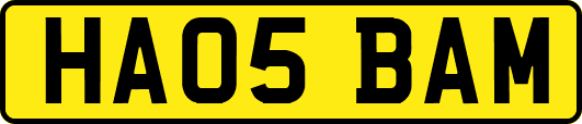 HA05BAM