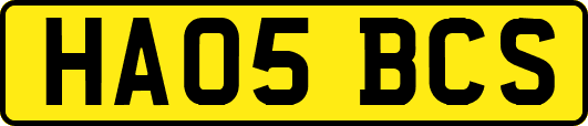 HA05BCS