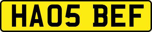HA05BEF