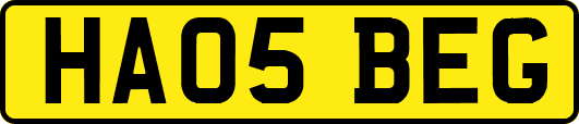 HA05BEG