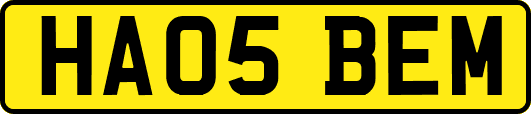 HA05BEM
