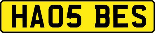 HA05BES