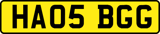 HA05BGG