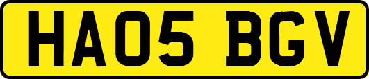 HA05BGV