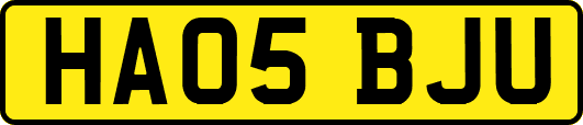HA05BJU