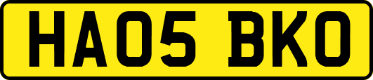 HA05BKO