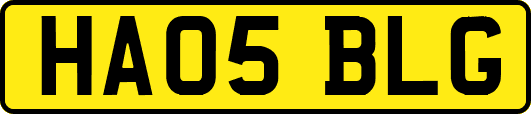 HA05BLG