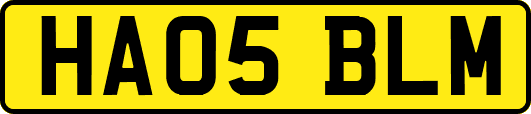 HA05BLM