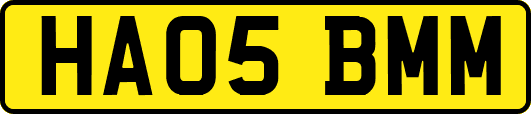 HA05BMM