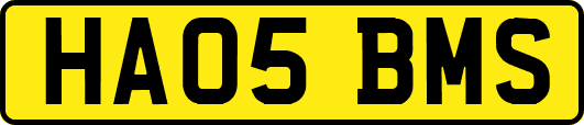 HA05BMS