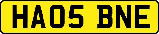 HA05BNE