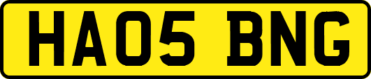 HA05BNG