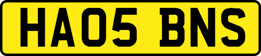 HA05BNS
