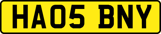 HA05BNY