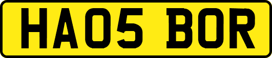 HA05BOR