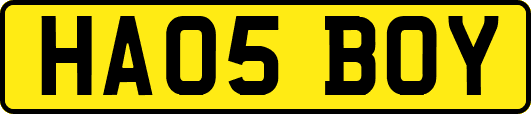 HA05BOY