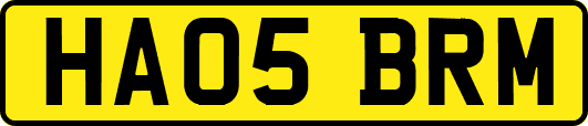 HA05BRM