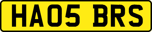 HA05BRS